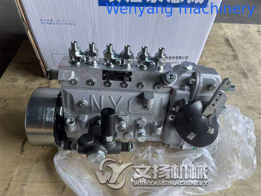 Engine Fuel injection pump J99L1-1111100-493 Yuchai engine spare parts fornecedor