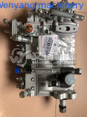 Peças de reposição do motor Weichai Deutz bomba de injeção do motor 13030186 /13053063 fornecedor